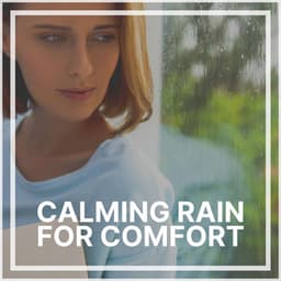 Calming Rain for Comfort - Rainfall
