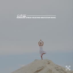 Gorgeous Stress-Relieving Meditation Music - Background Music Experience