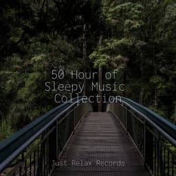50 Hour of Sleepy Music Collection - Sonidos De Lluvia y Tormentas