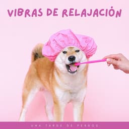 Vibras De Relajación: Una Tarde De Perros - Armonía de Reiki