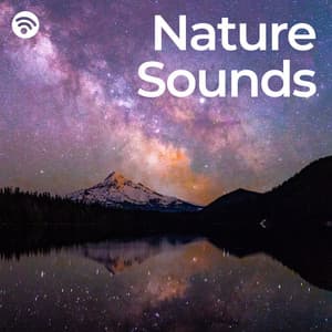 Good Night: Nature Sounds - Nature Sounds for Sleep and Relaxation