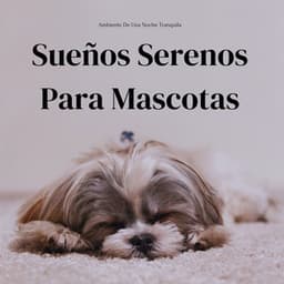 Ambiente De Una Noche Tranquila: Sueños Serenos Para Mascotas - Ecos Débiles