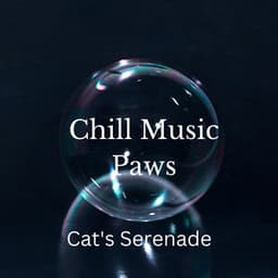 Chill Music Paws: Cat's Serenade - Stardust Vibes