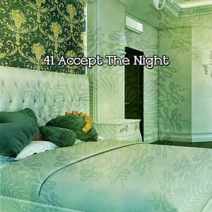 41 Accept The Night - Best Relaxing Music
