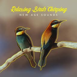Relaxing Birds Chirping: New Age Sounds for Stress Relief and Better Sleep - Close to Nature Music Ensemble