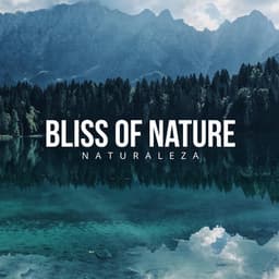 Bliss of Nature - Naturaleza