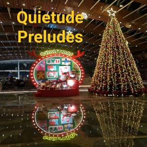 Quietude Preludes - Relaxing Piano Music