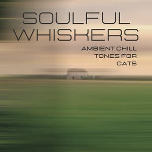 Soulful Whiskers: Ambient Chill Tones for Cats - Ambient Chill