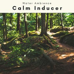 A Calm Inducer - Water Ambience