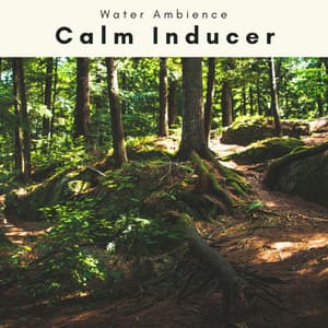 A Calm Inducer - Water Ambience