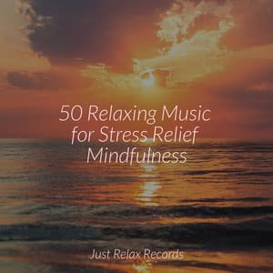50 Relaxing Music for Stress Relief Mindfulness - MÚSICA PARA NIÑOS
