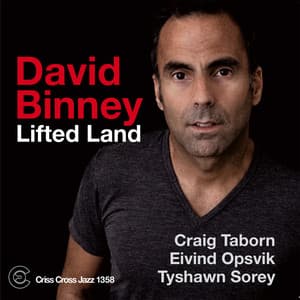Lifted Land - David Binney
