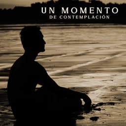 Un Momento de Contemplación: Meditación Zen para la Paz de la Mente - Meditación Budista Academia