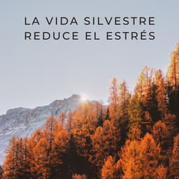 La Vida Silvestre Reduce El Estrés - Proyecto de ley de vida silvestre