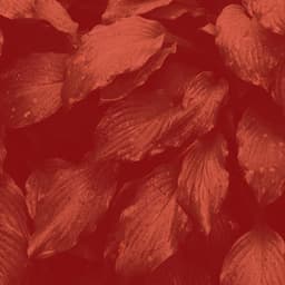 Spa Music - Background for Morning Yoga - Yoga Music Play List