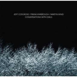 Conversations With Owls - Jeff Cosgrove