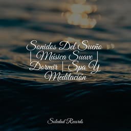 Sonidos Del Sueño | Música Suave | Dormir | Spa Y Meditación - Música a Relajarse