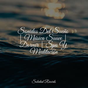 Sonidos Del Sueño | Música Suave | Dormir | Spa Y Meditación - Música a Relajarse
