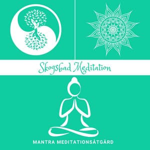 Skogsbad Meditation: Shinrin-Yoku-Övning - Mantra Meditationsåtgärd