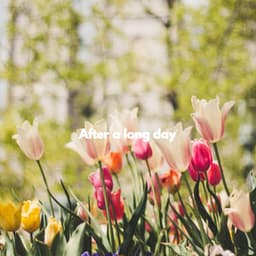 After a long day - Wine Bar Music