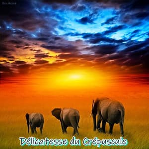 Délicatesse Du Crépuscule - LO-FI BEATS