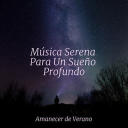 Música Serena Para Un Sueño Profundo - Massage Therapy Music