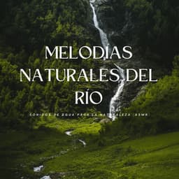 Melodías Naturales Del Río: Sonidos De Agua Para La Naturaleza - Balneario de agua