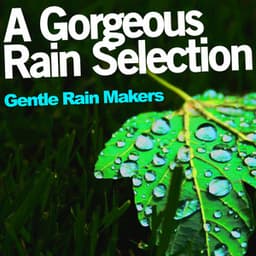 A Gorgeous Rain Selection - Gentle Rain Makers