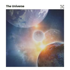 The Universe - Bird Sounds