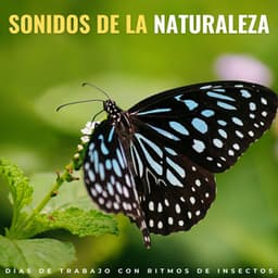 Sonidos De La Naturaleza: Días De Trabajo Con Ritmos De Insectos - Naturaleza registrada