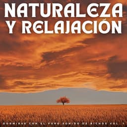 Naturaleza Y Relajación: Dormirse Con El Puro Sonido De Bichos Vol. 1 - Melodía de la tierra