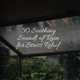 50 Soothing Sounds of Rain for Stress Relief - White Noise For Baby Sleep