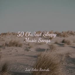 50 Chillout Sleepy Music Songs - Smart Baby Lullaby