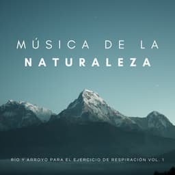 Música De La Naturaleza: Sueños De Las Corrientes Vol. 1 - Música para Concentrarse Radio