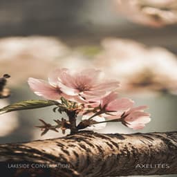 Lakeside Conversation - Axelites