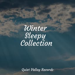 Winter Sleepy Collection - Binaural Creations