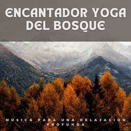 Encantador Yoga del Bosque: Música para una Relajación Profunda - Tesoros del bosque