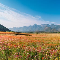 Paisajes Sonoros De Vida: Música Para Sentir - Mejores Sonidos ASMR