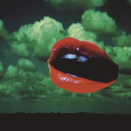 Polar Bear - Sebastian Rochford