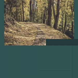 Aromatherapy - Background Music - 1 Hour Spa Music