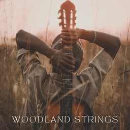 Woodland Strings - Spanish Guitar