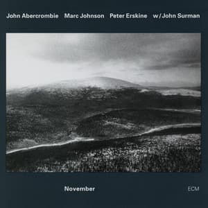 November - John Abercrombie