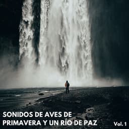Sonidos De Aves De Primavera Y Un Río De Paz Vol. 1 - Sonidos y susurros de la naturaleza