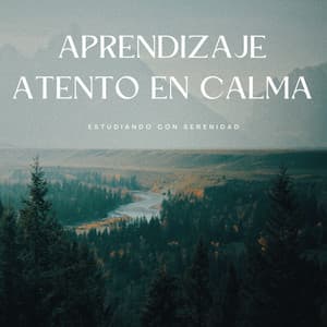 Aprendizaje Atento En Calma: Estudiando Con Serenidad - Enfoque acuático