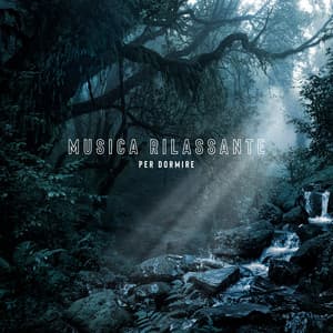 Musica rilassante per dormire: Ninna nanna esotica della natura - Relax accademia di benessere