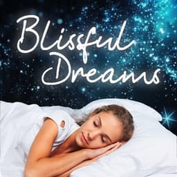 Blissful Dreams – Subtle Night Atmospheres, Sleep Easier Tonight, Sounds for Insomnia Relief - Relaxing Evening Music Universe