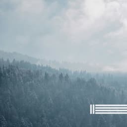 Forest Sounds, Birds Sounds - Birds In The Forest