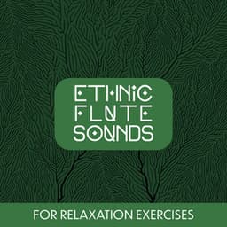 Ethnic Flute Sounds for Relaxation Exercises - Flute Music Group