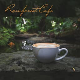 Rainforest Cafe: Romantic Moments with a Loved One Among Nature, Cafe Upbeat Music, Happiness and Coffee - Cafe Piano Music Collection