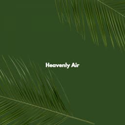 Heavenly Air - Co-Working Music Playlist